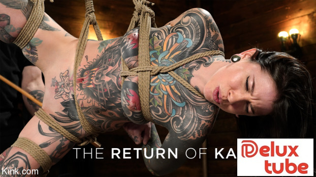 [ Hog Tied ] Krysta Kaos: The Return of Kaos