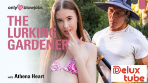 The Lurking Gardener