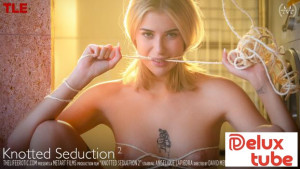 Knotted Seduction 2